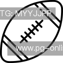 介绍PG模拟器首页